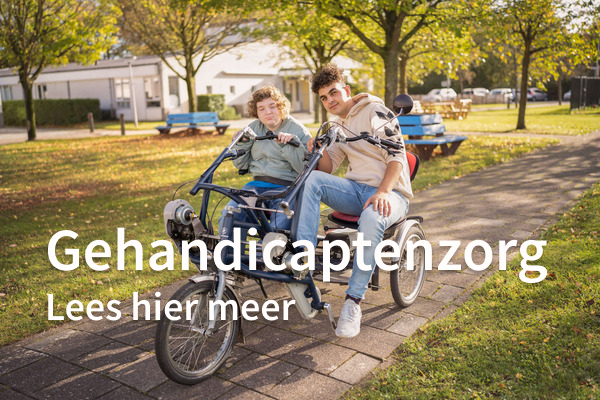 Gehandicaptenzorg